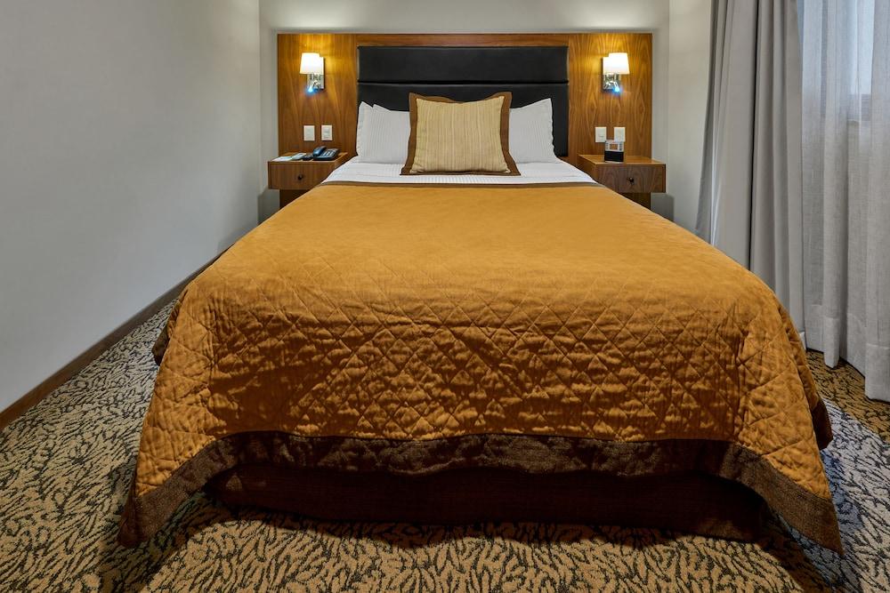 מלון Wyndham Garden Mexico Reforma מראה חיצוני תמונה