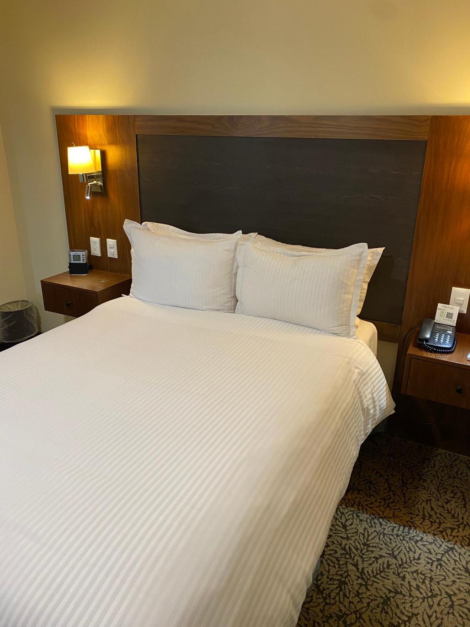 מלון Wyndham Garden Mexico Reforma מראה חיצוני תמונה