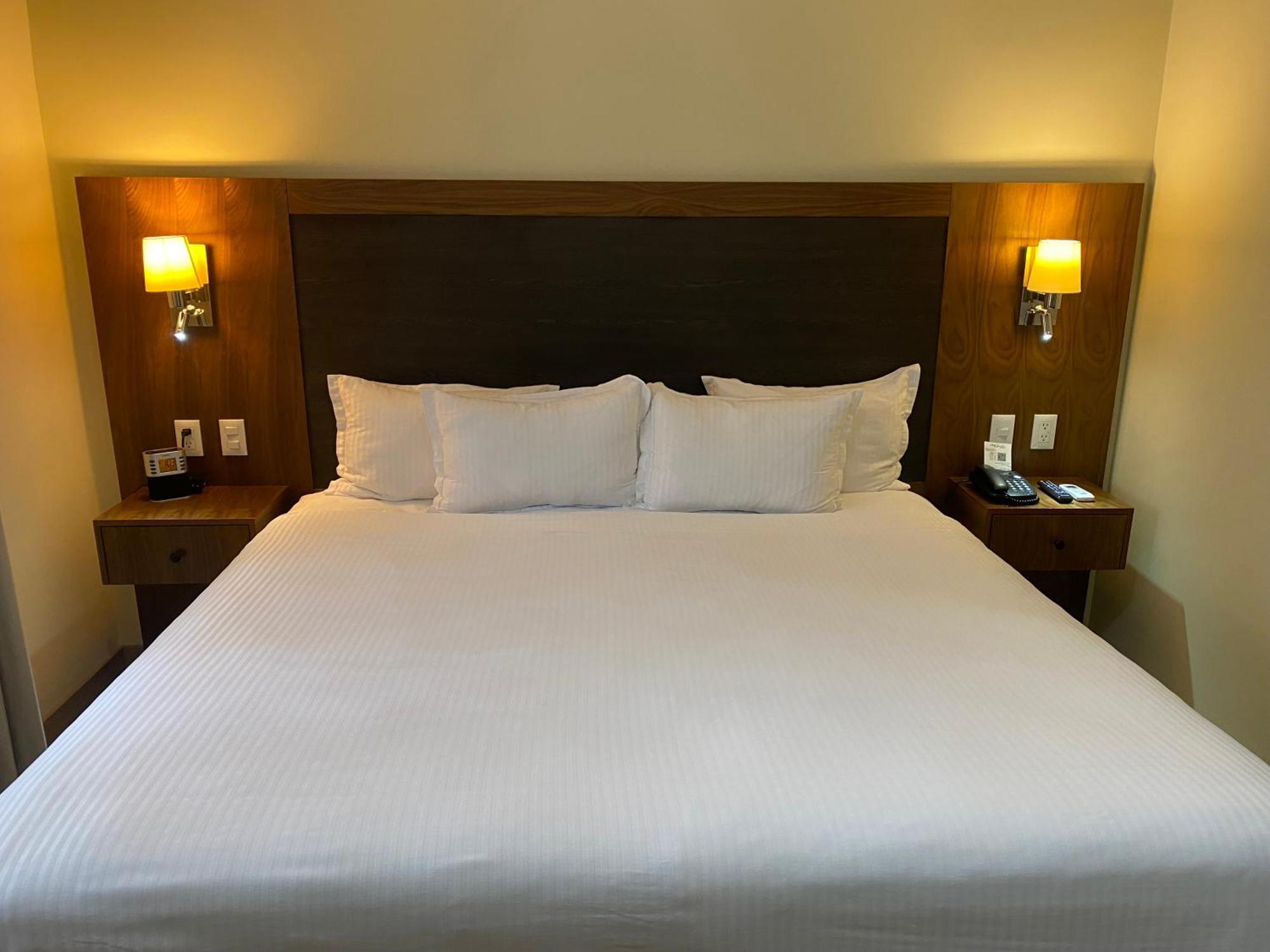 מלון Wyndham Garden Mexico Reforma מראה חיצוני תמונה