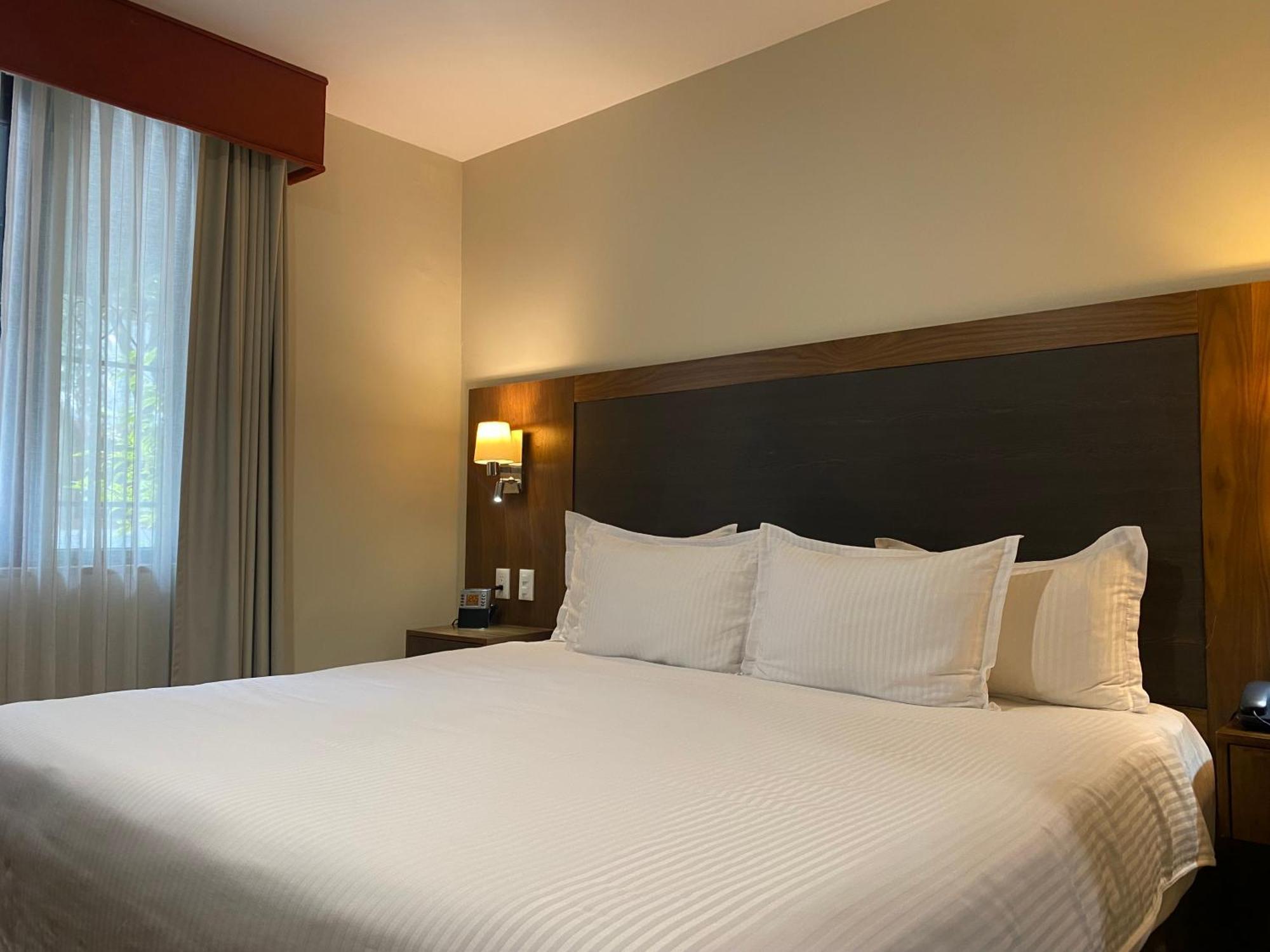 מלון Wyndham Garden Mexico Reforma מראה חיצוני תמונה